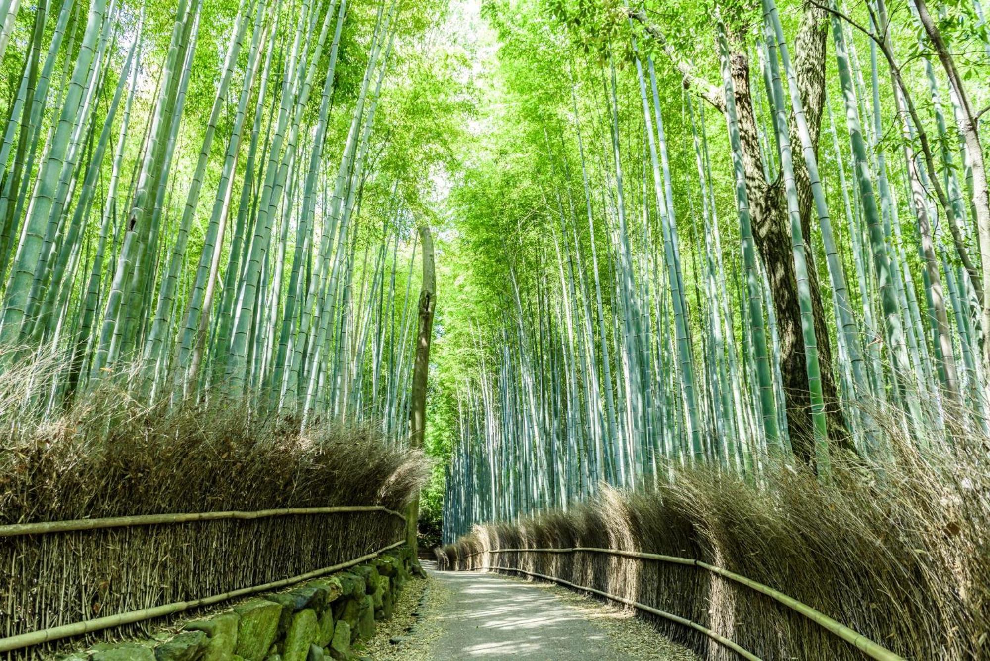 Mimaru Kyoto Nishinotoin Takatsuji Hotel Ngoại thất bức ảnh